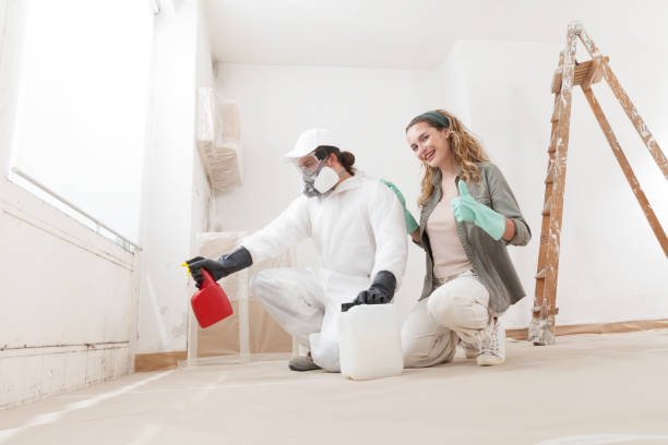 Best Black Mold Removal  in Santa Rosa, CA